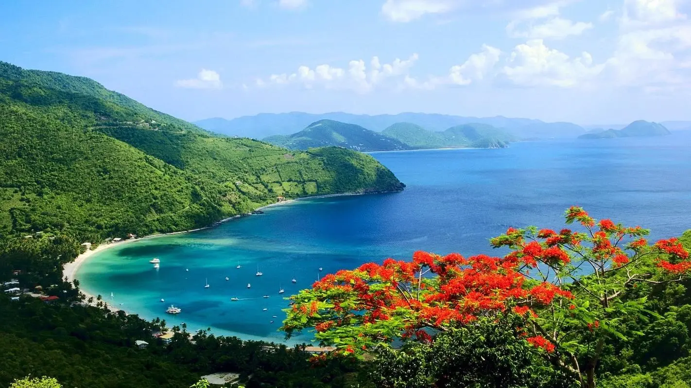 高效自动化无人化